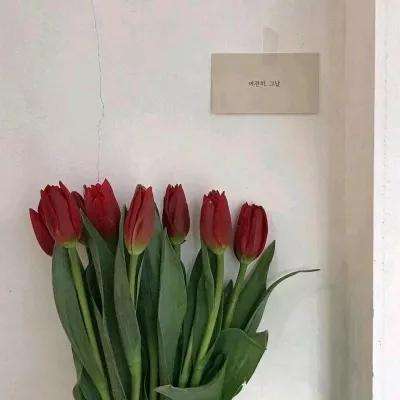 侠侣天下腾讯版下载
